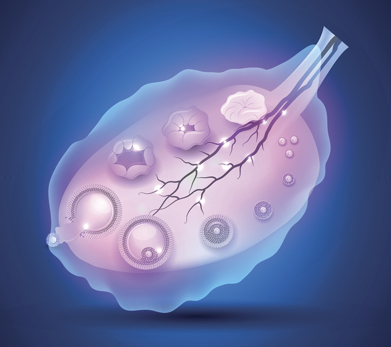 泰国dhc生殖中心医院做三代试管费用有多少？求详细费用清单